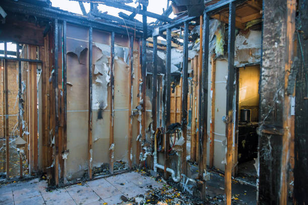 Professional Odor Removal technician working in Dranesville, VA